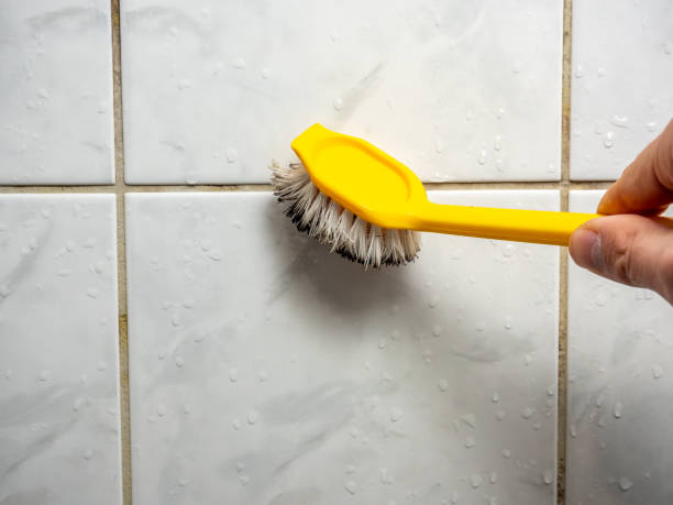 Best Professional Mold Removal  in Tyhee, ID
